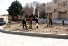 گزارش تصویری از آئیین درختکاری و تقدیر ازهمکاران فضای سبز دانشگاه